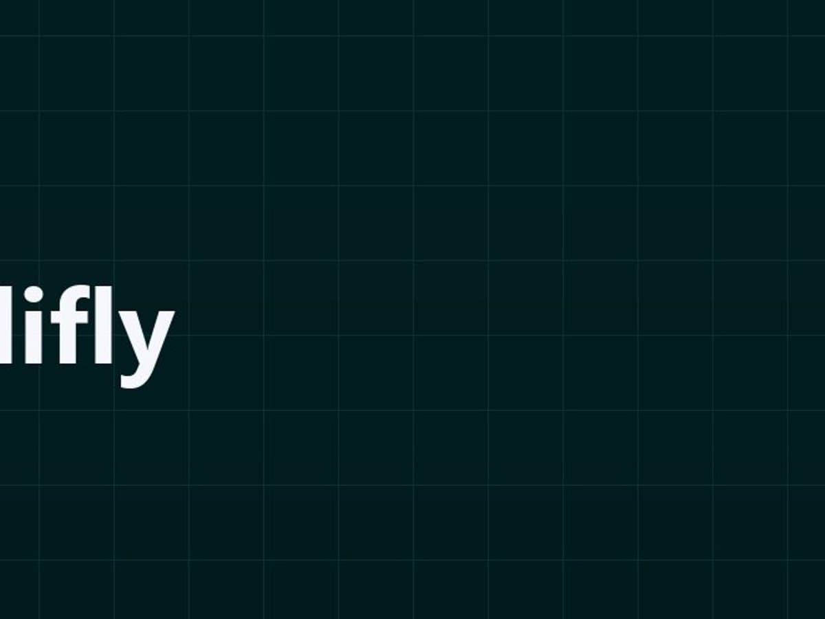 Intellifly — 4
